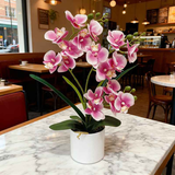Artificial Moth Orchid Potted Plant, Bringing Natural Vitality into Your Home; Flowers Never Wilt, Staying Evergreen All Year Round./BLUE
