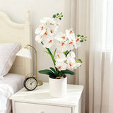 Artificial Moth Orchid Potted Plant, Bringing Natural Vitality into Your Home; Flowers Never Wilt, Staying Evergreen All Year Round./BLUE