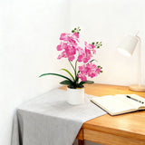 Artificial Moth Orchid Potted Plant, Bringing Natural Vitality into Your Home; Flowers Never Wilt, Staying Evergreen All Year Round./BLUE