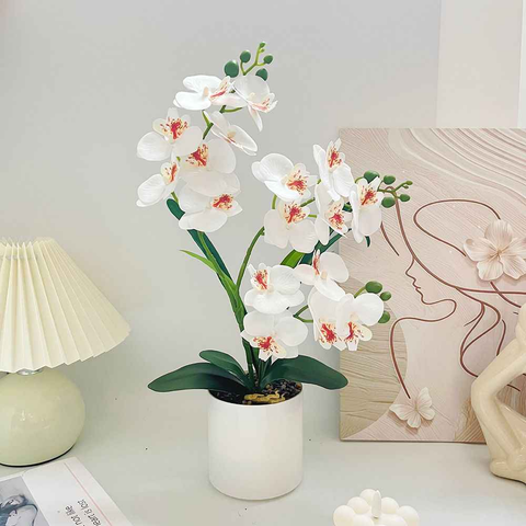 Artificial Moth Orchid Potted Plant, Bringing Natural Vitality into Your Home; Flowers Never Wilt, Staying Evergreen All Year Round./white