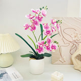 Artificial Moth Orchid Potted Plant, Bringing Natural Vitality into Your Home; Flowers Never Wilt, Staying Evergreen All Year Round./white