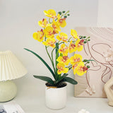 Artificial Moth Orchid Potted Plant, Bringing Natural Vitality into Your Home; Flowers Never Wilt, Staying Evergreen All Year Round./white