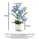 Artificial Moth Orchid Potted Plant, Bringing Natural Vitality into Your Home; Flowers Never Wilt, Staying Evergreen All Year Round./white