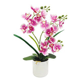 Artificial Moth Orchid Potted Plant, Bringing Natural Vitality into Your Home; Flowers Never Wilt, Staying Evergreen All Year Round./white
