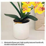 Artificial Moth Orchid Potted Plant, Bringing Natural Vitality into Your Home; Flowers Never Wilt, Staying Evergreen All Year Round./YELLOW