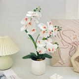 Artificial Moth Orchid Potted Plant, Bringing Natural Vitality into Your Home; Flowers Never Wilt, Staying Evergreen All Year Round./Purple heart