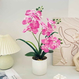 Artificial Moth Orchid Potted Plant, Bringing Natural Vitality into Your Home; Flowers Never Wilt, Staying Evergreen All Year Round./pink