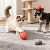 Smart Interactive Rolling Pet Ball – Automatic Self-Moving Cat & Small Dog Toy, Bite-Resistant Rechargeable Boredom Buster 52mm(blue)