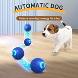 Smart Interactive Rolling Pet Ball – Automatic Self-Moving Cat & Small Dog Toy, Bite-Resistant Rechargeable Boredom Buster 52mm(blue)
