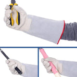Thermal Leather Freezer Work Gloves – Thinsulate Lined, Kevlar Reinforced Cold Store & Outdoor Winter Safety Gloves(31cm/12.2in)