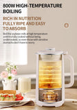 Blender & Soy Milk Maker: Dry Bean Direct Grinding No Soak, 800W High-Temp Boiling, 12 Functions + 12H Reservation, Silent Operation, 1.2L Large Capacity — Fresh & Convenient All Day