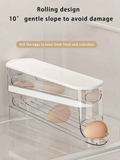 Automatic Sliding Egg Holder 12-14 Eggs Flip Lid Fridge Storage Container