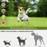 Automatic Pet Ball Launcher Toy with 3 Smart Launch Modes, Built-in Li-ion Battery & USB Charging, Long Battery Life, Indoor/Outdoor Use, Perfect Interactive Training Toy for Small and Medium Dogs.(aqua)