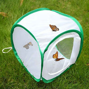 1 Pc Green Butterfly Kit With Live Caterpillars, Portable Foldable Insect Habitat Cage and Butterfly House In Australia - Darrahopens