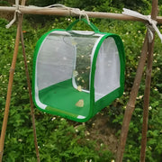 1 Pc Green Butterfly Kit With Live Caterpillars, Portable Foldable Insect Habitat Cage and Butterfly House