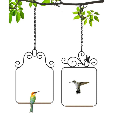 2 Pack Black Hummingbird Swings and Perches, Metal Frame Wild Bird Swing With Wooden Dowel and Hanging Chains for Indoor Outdoor In Australia - Darrahopens