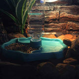Reptile Bowl, Automatic Water Dispenser for Reptile Turtle Feeding Food Bowl Pet Bowl, LS