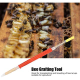 25 Pcs Beekeeping Larvae Grafting Needles Queen Bee Rearing Tool Beekeeping Equipment In Australia - Darrahopens