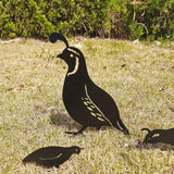 Outdoor Metal Garden Decor, Quail Farm Garden Art Metal Statues Decor Garden Decoration Lawn Path Sidewalk Garden, European Retro Style In Australia - Darrahopens