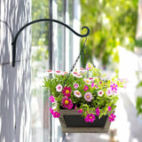 2 Pack Iron Hanging Plant Holder, Simple Wall Plant Hanger In Australia - Darrahopens
