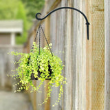 2 Pack Iron Hanging Plant Holder, Simple Wall Plant Hanger In Australia - Darrahopens