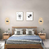 2 Pcs 12W LED Indoor Wall Light, 3000K Warm White Light Modern Acrylic Feather LED Wall Lamp, Simple Modern Wall Sconce for Bedroom, Living Room In Australia - Darrahopens
