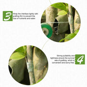 Grafting Tape Garden Tree Stretch Film Self-Adhesive Waterproof for Fruit Trees In Australia - Darrahopens