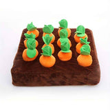 Pawfect Carrot & Bone Dog Chew Toy Set - Durable & Fun