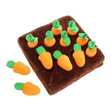 Pawfect Carrot & Bone Dog Chew Toy Set - Durable & Fun