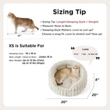 Cat Bed, Washable Round Cute Pet Beds for Indoor Cats, Super Soft Corduroy Kitten Bed with Anti-Slip Bottom, 20''x20''x8'', Warm Gray