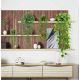 4 Pack Realistic Artificial Trailing Hanging Plants – Silver Dollar Eucalyptus, String of Pearls Succulent, Lush Boston Fern & Heart Leaf Pothos, Wall Mount Faux Greenery for Australian Coastal & Boho Home Styling In Australia - Darrahopens