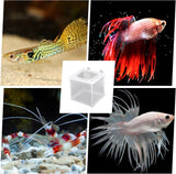 2 Pack Fish Incubator Mesh Box Aquarium, 6.3" x 5.51" x 5.91" Breeder Box for Fish Tank White Nylon Mesh Fishes Breeder Boxes for Aquarium Juvenile Fishes Separation Net Fry Hatchery with Suction Cups