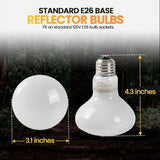 (4-Pack) Reptile Bowls and 100W UVA Heat Lamp Bulbs, (2-Pack) Water and Food Bowls and 4-Pack Reptile Heat Lamp Bulbs