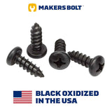 Stainless Steel Screws - Black Head, Oxidized Finish (Pack of 4)
