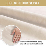 Dining Chair Covers Velvet Stretch Chair Covers for Dining Room Set of 6 Parson Chair Slipcovers Chair Protectors Covers, Soft Thick Solid Velvet Fabric Washable, Ivory