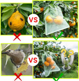50 pieces fruit protection bags with drawstring, 15x20 cm green organza bags, reusable bird nets and insect mesh for garden vegetable patch 15×20cm