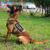 Security Patch 2 Pack Reflective Security Patch Hook and Loop Durable Fabric Patches with Reflective Printed Letters for Officer Guard Custom Uniforms Vest, Jacket, Carrier, Hat, 1Small and 1 Large