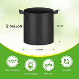 HealSmart 6-Pack 2 Gallon Nonwoven Grow Bags - Aeration Fabric Pots with Handles for Garden Fruits Vegetables Flowers - Black In Australia - Darrahopens