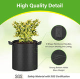HealSmart 6-Pack 2 Gallon Nonwoven Grow Bags - Aeration Fabric Pots with Handles for Garden Fruits Vegetables Flowers - Black In Australia - Darrahopens
