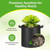 HealSmart 6-Pack 2 Gallon Nonwoven Grow Bags - Aeration Fabric Pots with Handles for Garden Fruits Vegetables Flowers - Black In Australia - Darrahopens