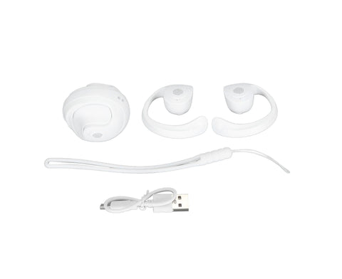 Language Translator Earhooks Bluetooth 5.3 Support 144 Languages Online Translation Wireless Earbuds Device for Music and Calling White