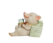 Lovely Moving Brick Reading Book Pig Ornament Home Desktop Decor Resin Craft-5#