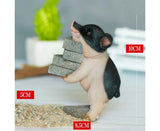 Lovely Moving Brick Reading Book Pig Ornament Home Desktop Decor Resin Craft-5#
