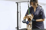 Dog Grooming Arm Pet Grooming Hammock Dog Grooming Stand with Loop Noose