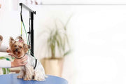 Dog Grooming Arm Pet Grooming Hammock Dog Grooming Stand with Loop Noose