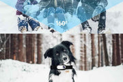 HD 1080P Dog Tracker Collar No WiFi No App Dog Collar Camera Dog Cat Pet Sport Action Camera Collar Mini Body Cam