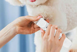 4-in-1 Dog Clipper Dog Grooming Kit with 4 Blade Heads -White