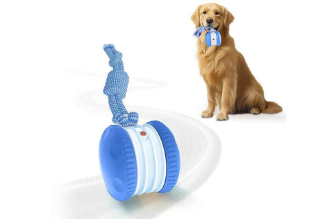 Interactive Pet Rolling Ball Toy Rechargeable Automatic Play Ball for Cats and Dogs - Blue
