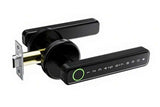 5 in 1 Smart Door Lock Fingerprint Door Knob with IC Cards and Backup Keys - Black