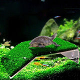 Darrahopens Pet Care > Reptile & Amphibian Supplies > Reptile & Amphibian Habitat Accessories Turtle Basking Platform Simulation Grass Turtle Ramp for Fish Tank Aquarium - L